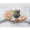Kubek Poduszka Dinozaur Dinozaury T-rex Tyrannosaurus Triceratops